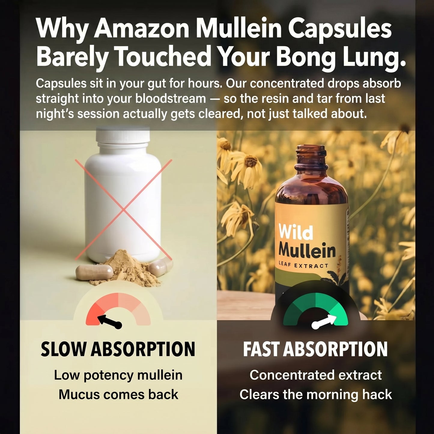Maximum Potency Mullein Drops