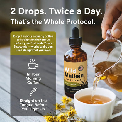 Maximum Potency Mullein Drops