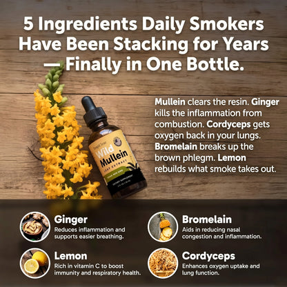 Maximum Potency Mullein Drops