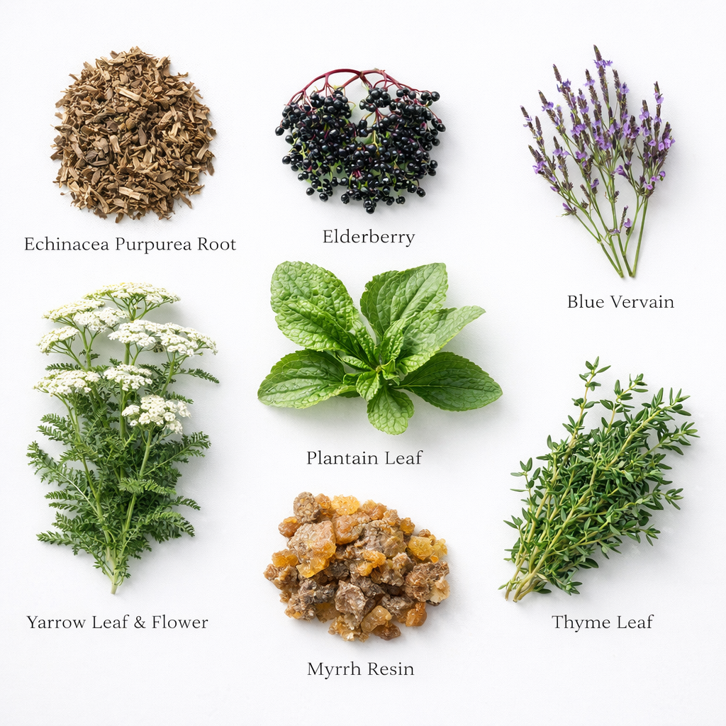 Organic Lymphatic Support Herbal Blend